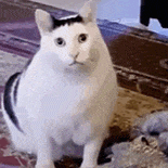 快手抖音网红黑料是谁发的视频,_网红不当行为_直播低俗内容